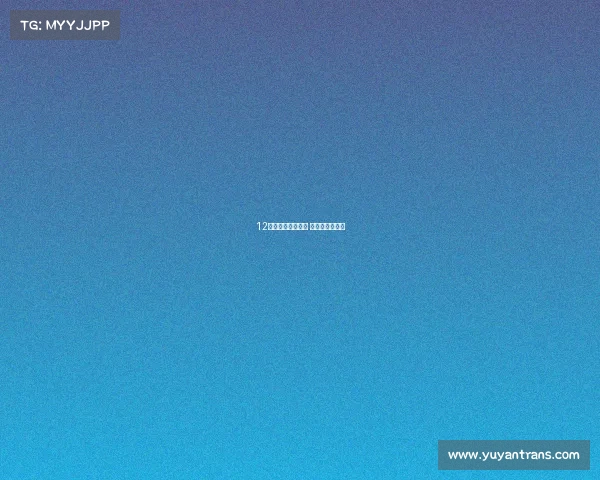 12年老司机点评锋范 时尚省油空间大